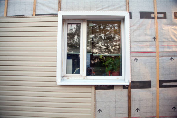 Custom Trim and Detailing for Siding in Monona, IA