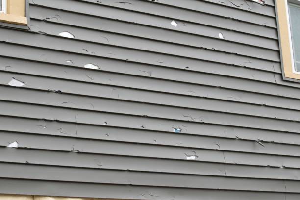 Best Composite Siding  in Monona, IA